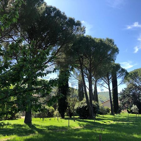 Gite Des Pins Saint-Maurice-dʼIbie エクステリア 写真