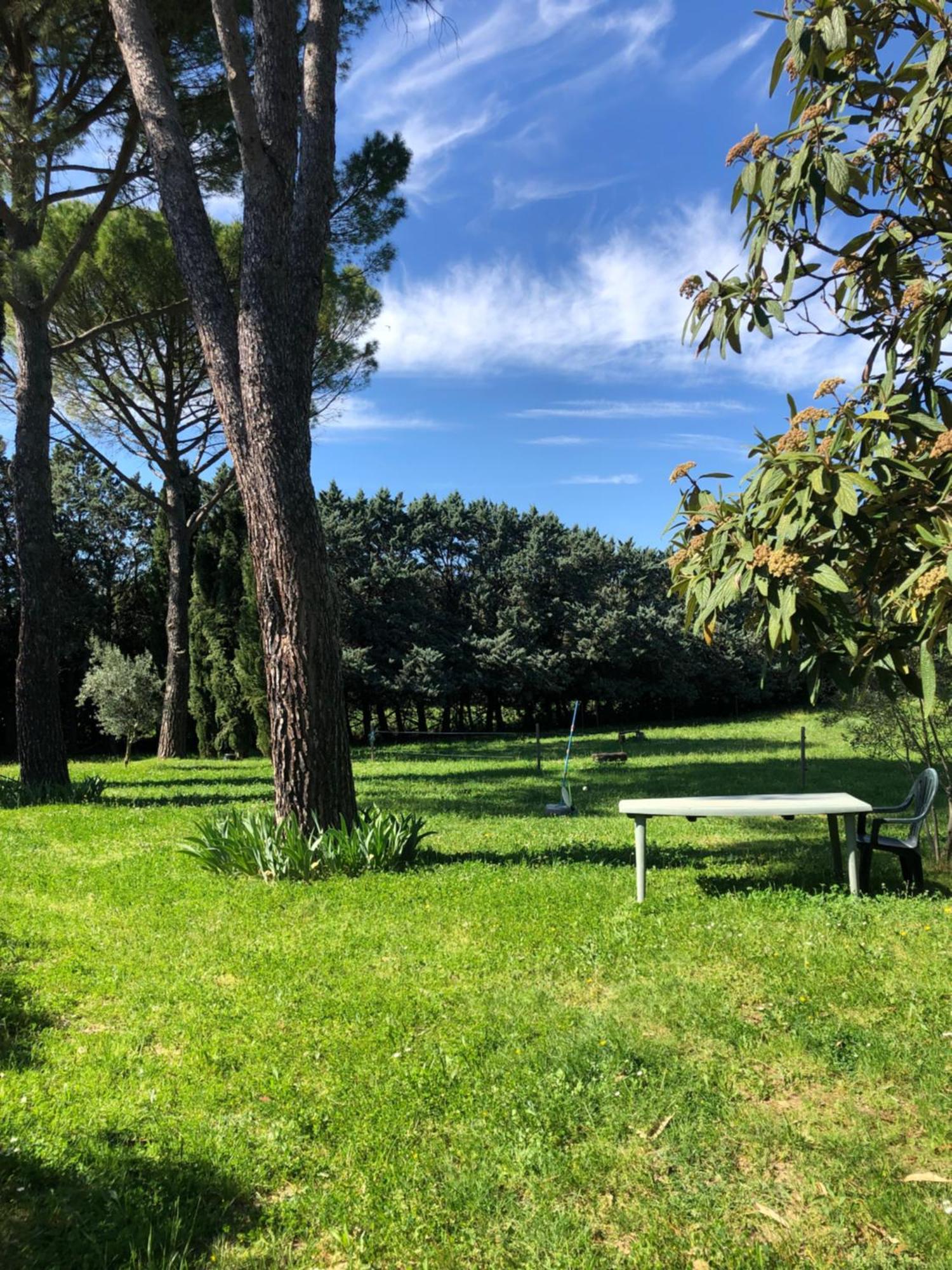 Gite Des Pins Saint-Maurice-dʼIbie エクステリア 写真