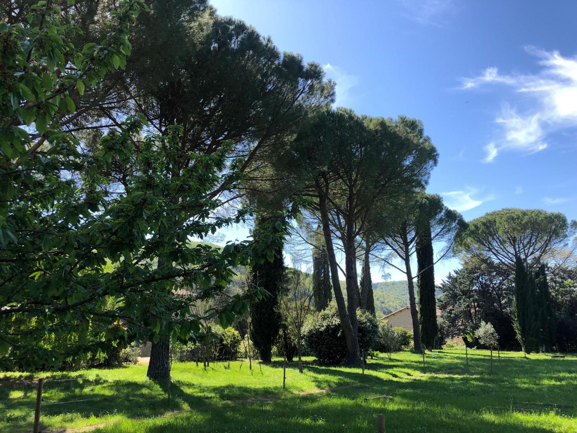 Gite Des Pins Saint-Maurice-dʼIbie エクステリア 写真
