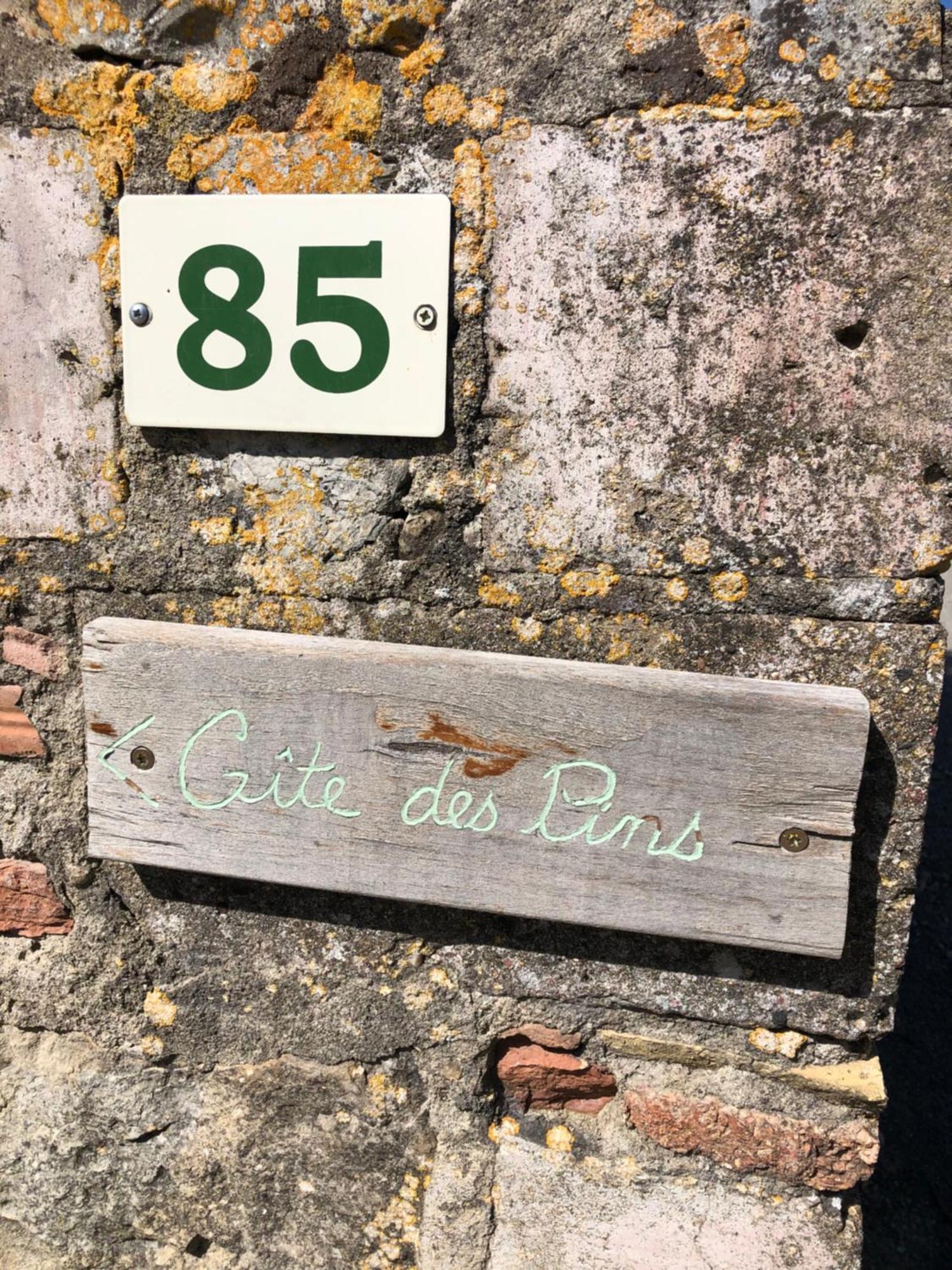 Gite Des Pins Saint-Maurice-dʼIbie エクステリア 写真