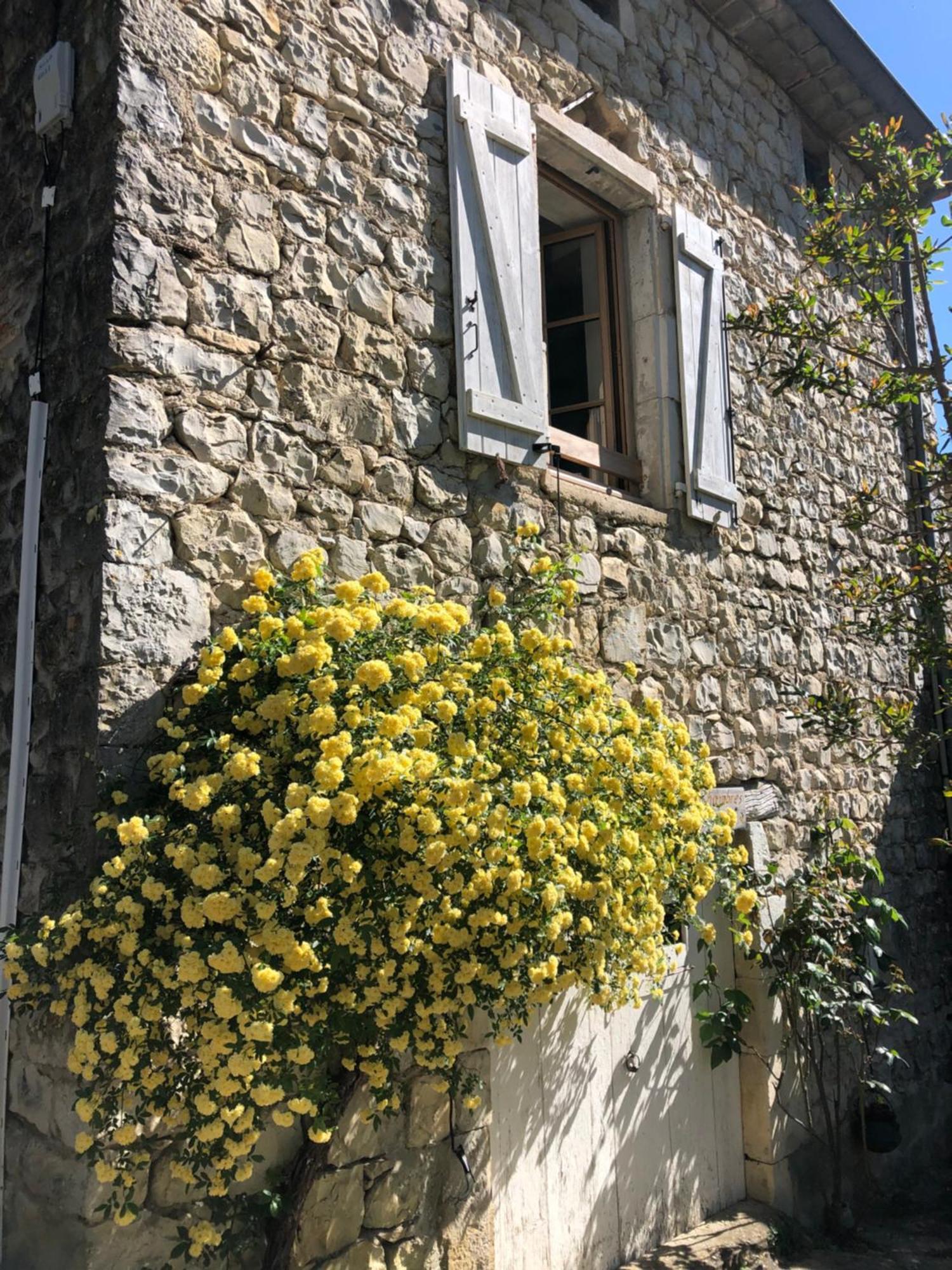 Gite Des Pins Saint-Maurice-dʼIbie エクステリア 写真